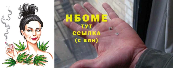 прущие грибы Нязепетровск