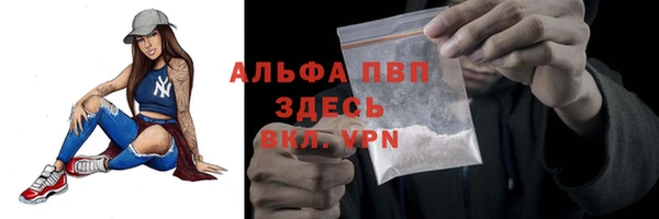 прущие грибы Нязепетровск