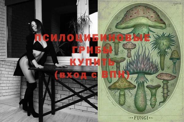 круглые Няндома