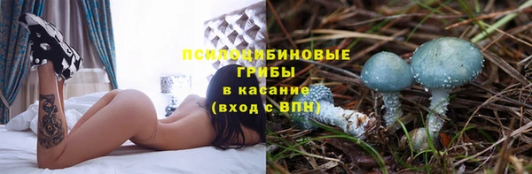 круглые Няндома
