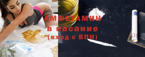 ГАЛЛЮЦИНОГЕННЫЕ ГРИБЫ Горняк