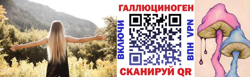 Псилоцибиновые грибы Psilocybine cubensis  Струнино 